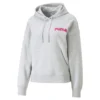 Puma Team Tr Hoodie -Lumi Wear Shop puma team tr hoodie